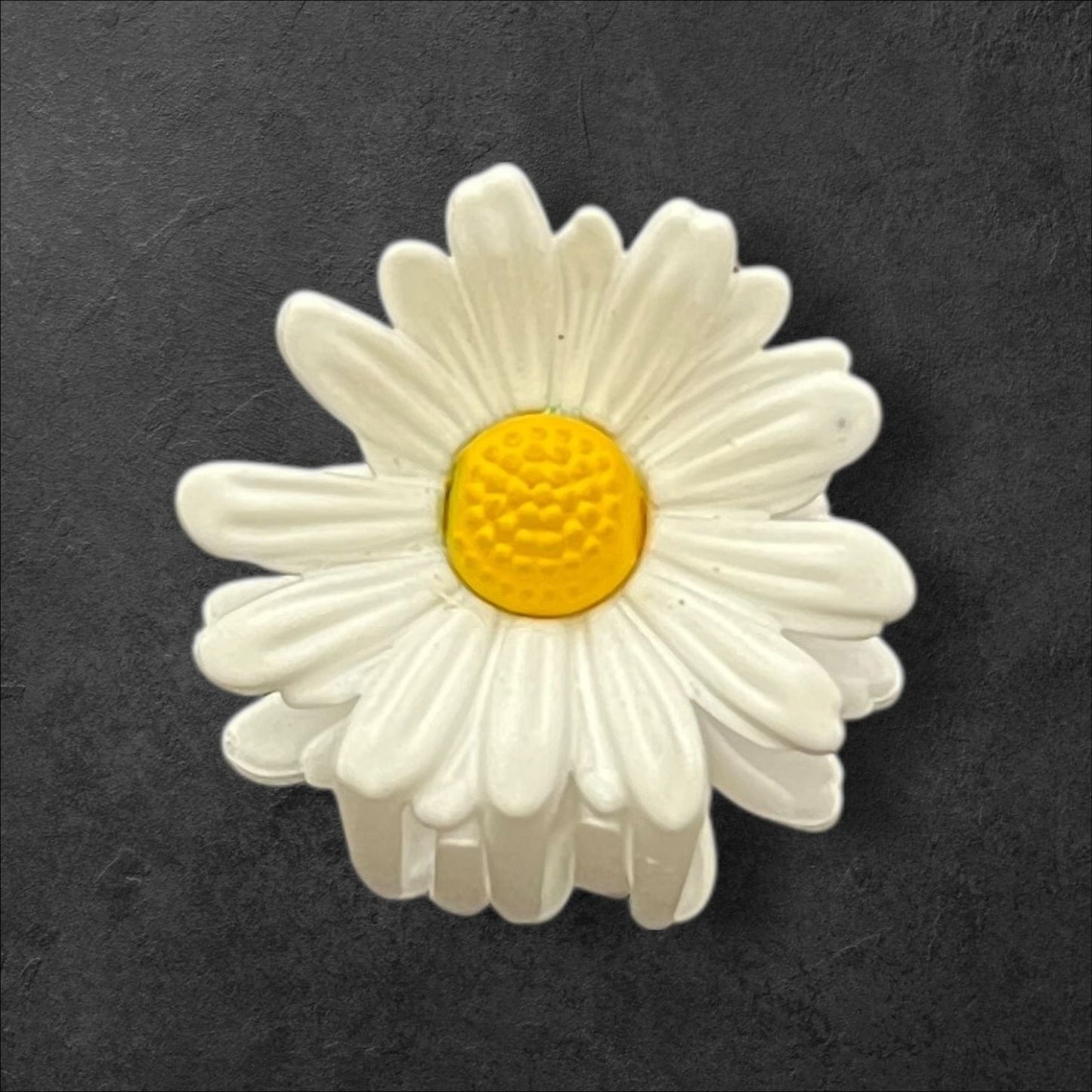 Premium Colorful Daisy Claw Clips – Pack of 6