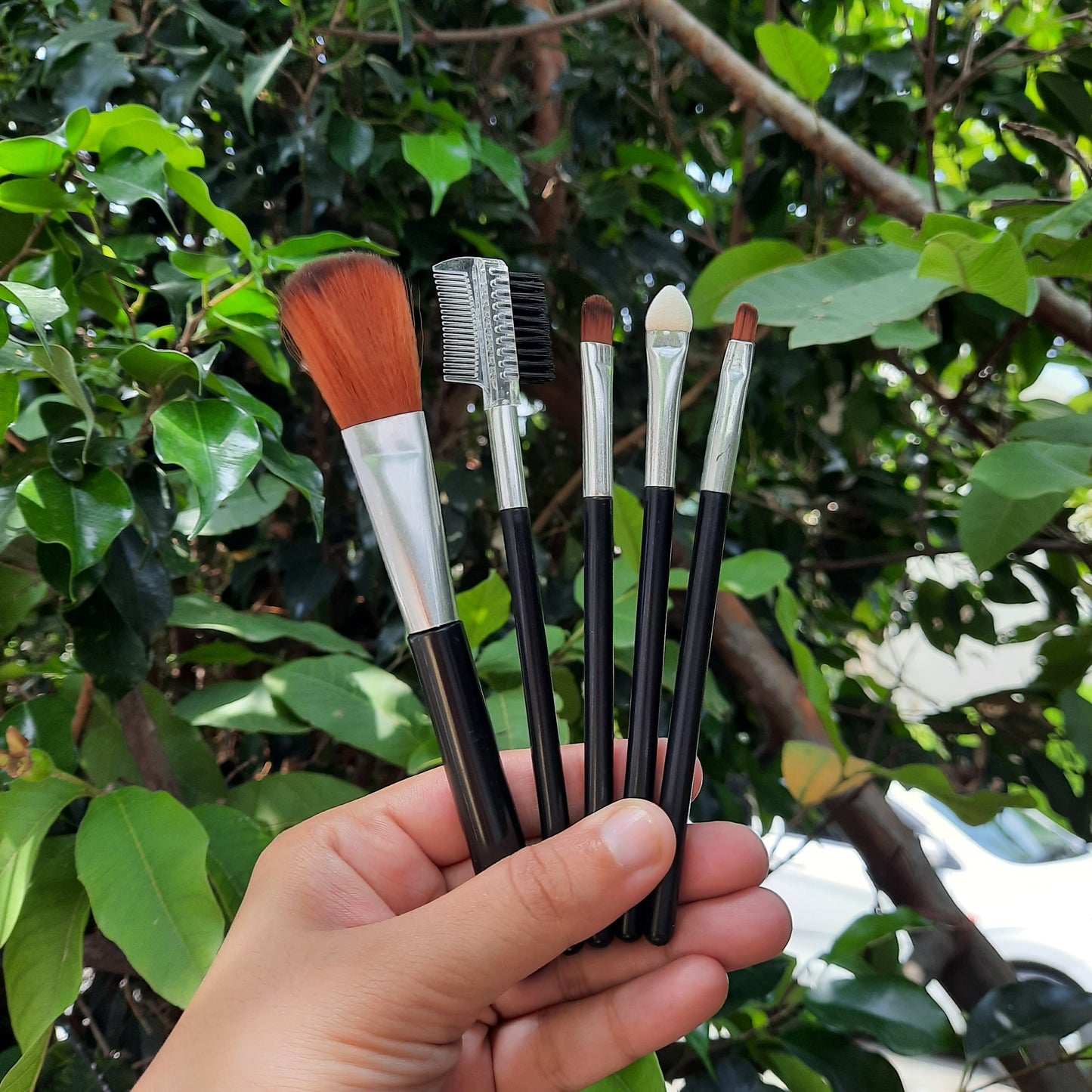 Makeup brushes kit