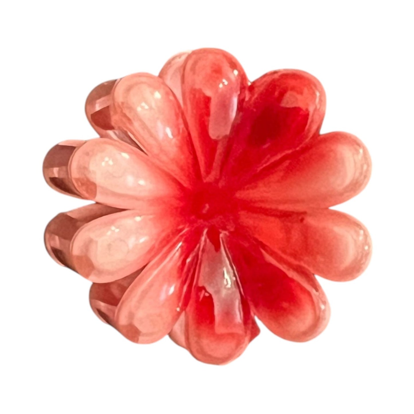 Glossy Gradient Flower Hair Clips for Girls – Pack of 6