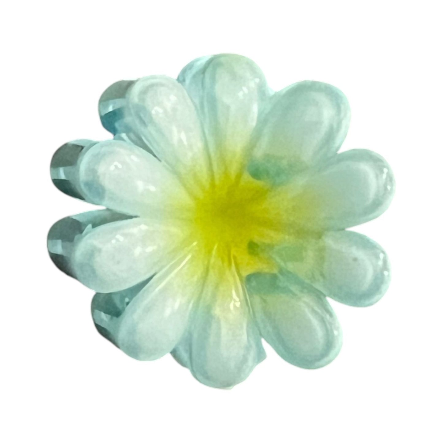 Glossy Gradient Flower Hair Clips for Girls – Pack of 6