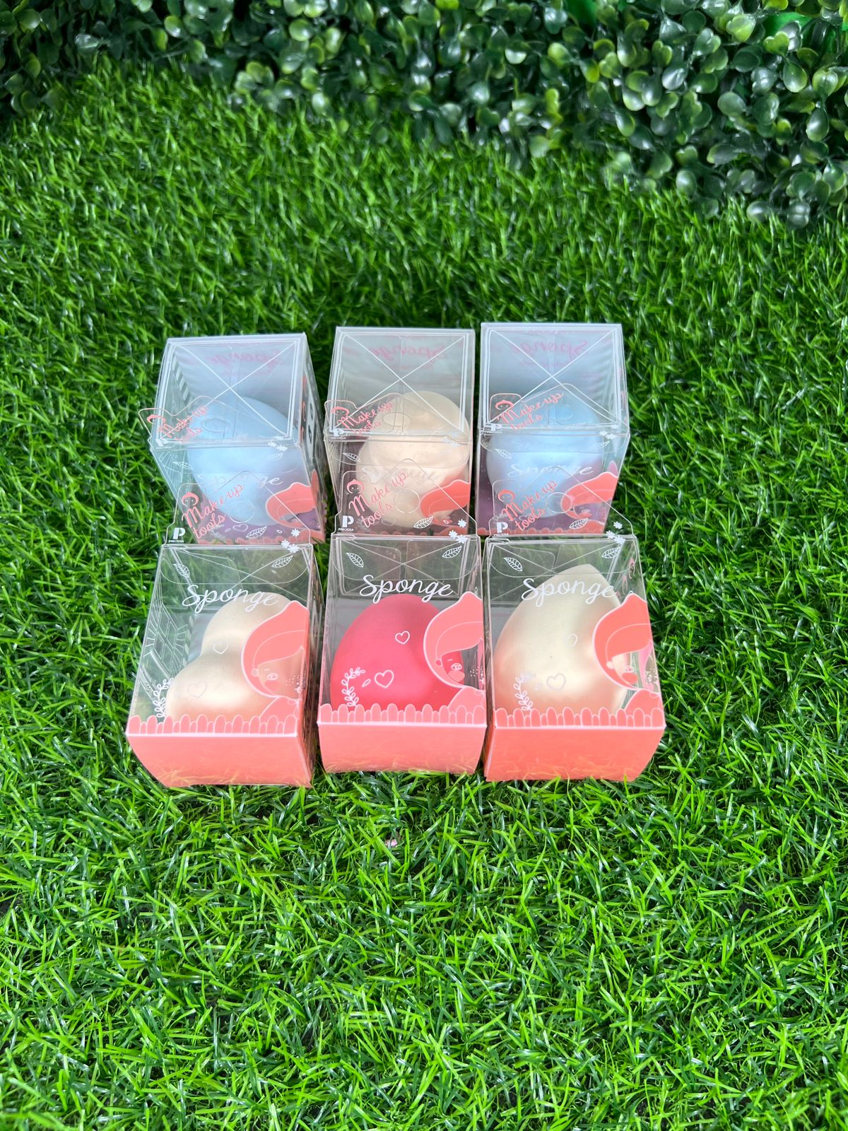 06 Pcs | Makeup blender