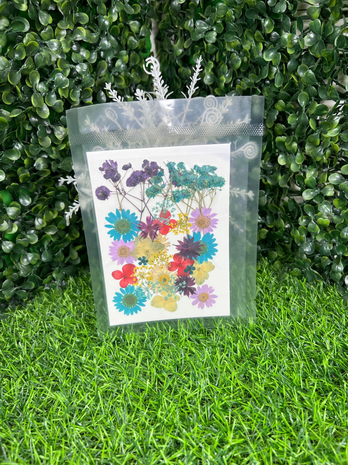 1 Packet | Press flowers resin art