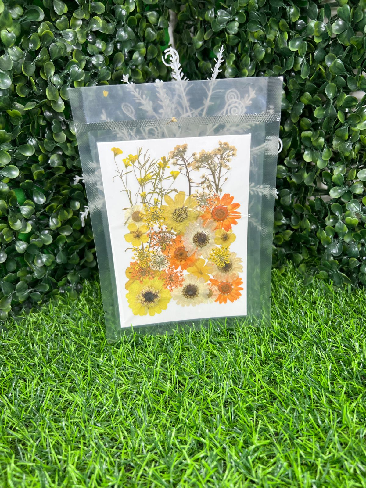 1 Packet | Press flowers resin art