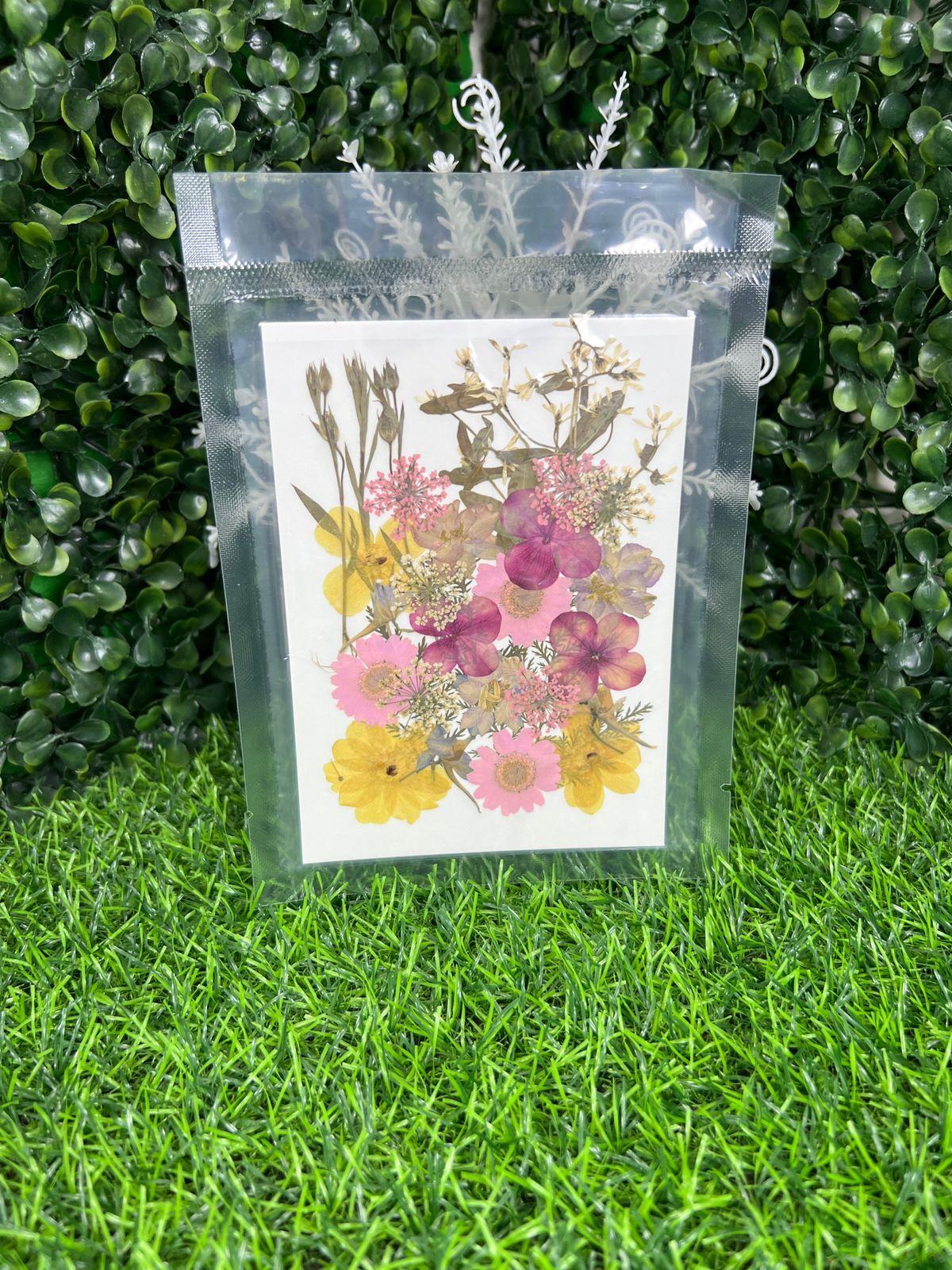 1 Packet | Press flowers resin art