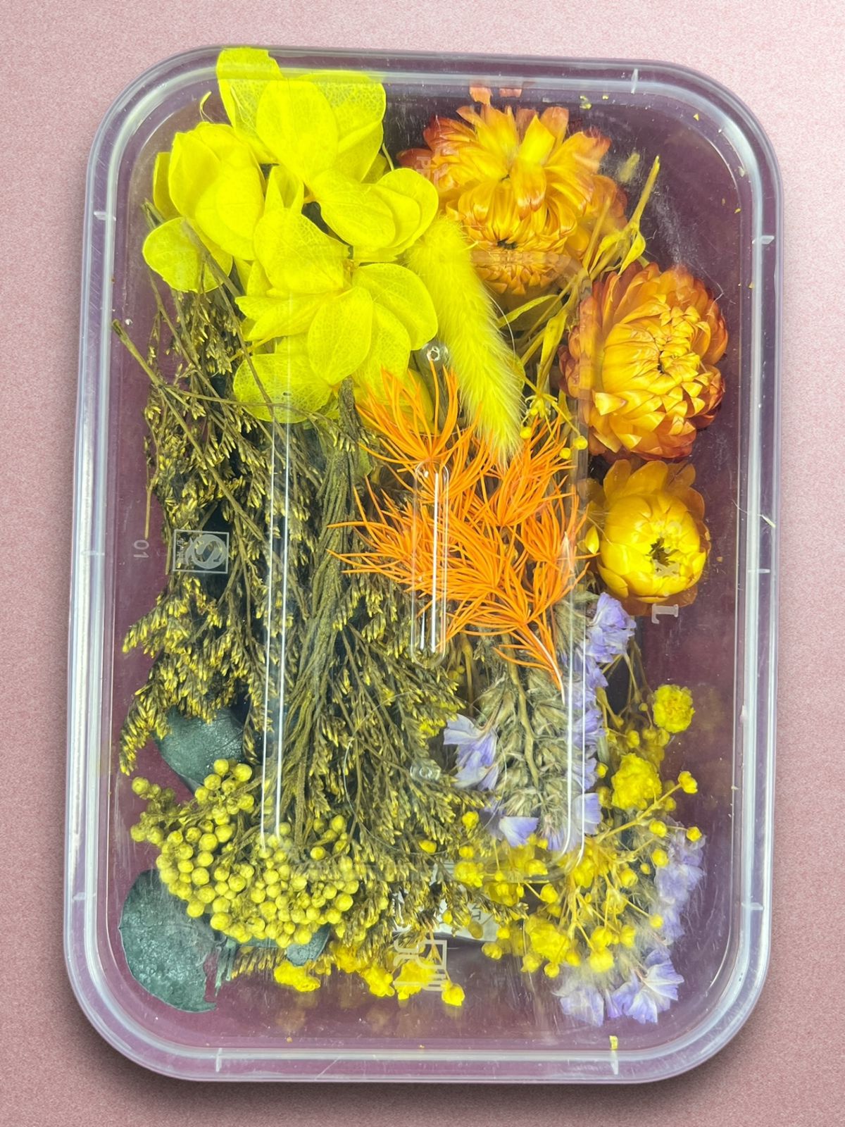 1 box | Dry flower natural box