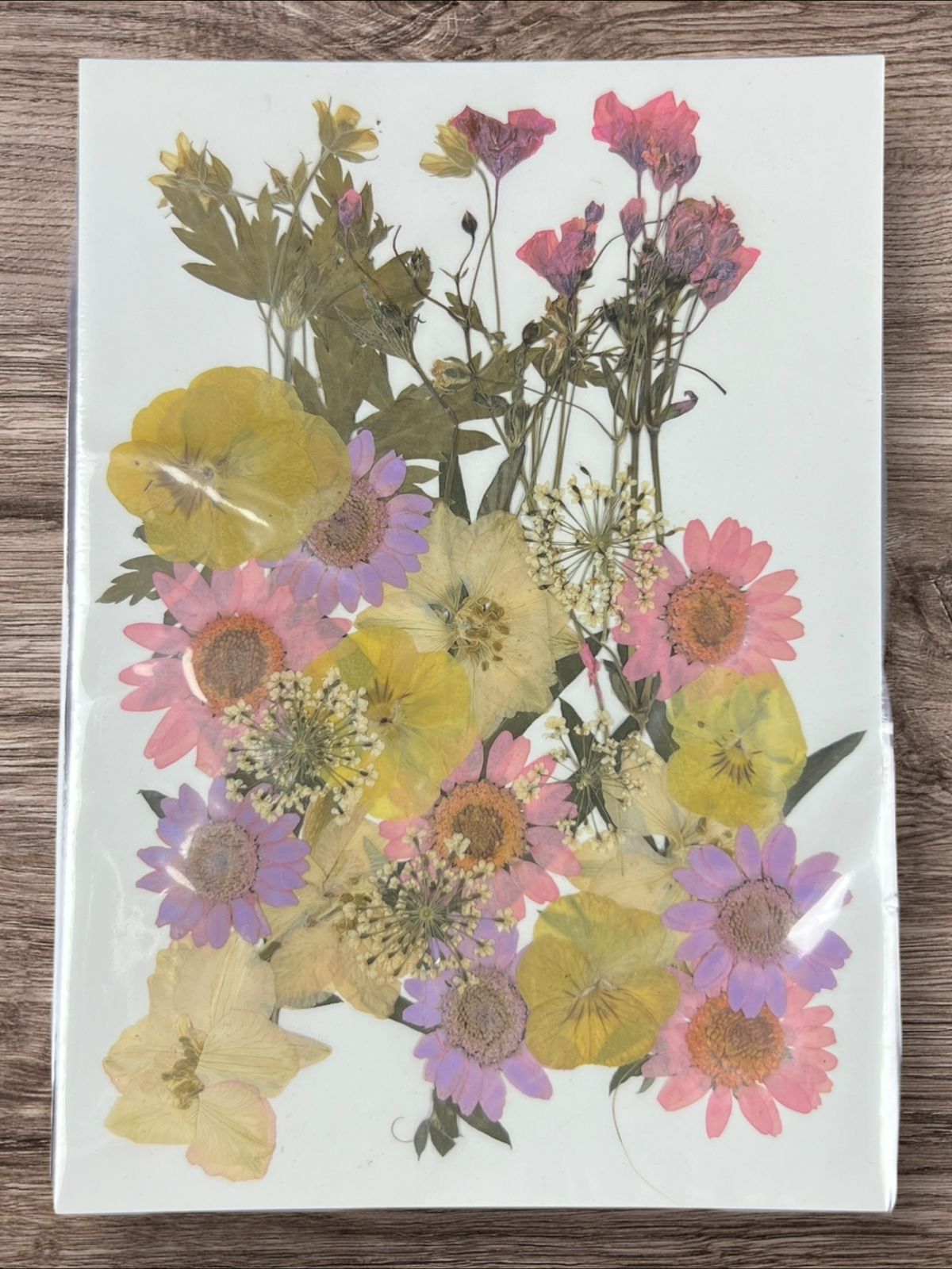 1 Packet | Press flowers resin art