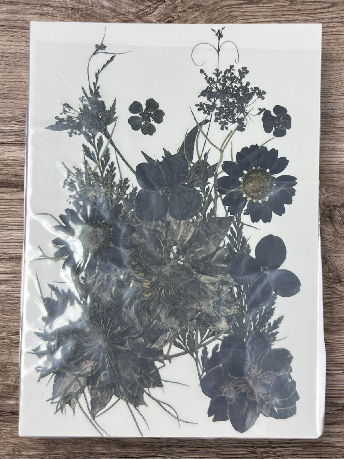 1 Packet | Press flowers resin art