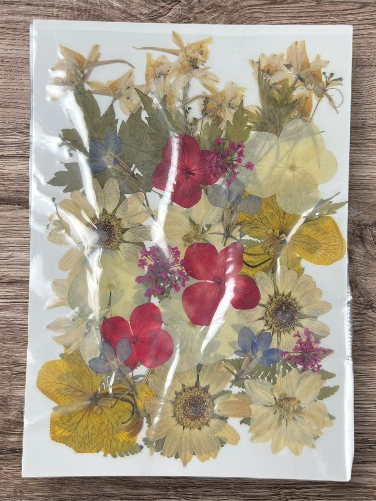 1 Packet | Press flowers resin art