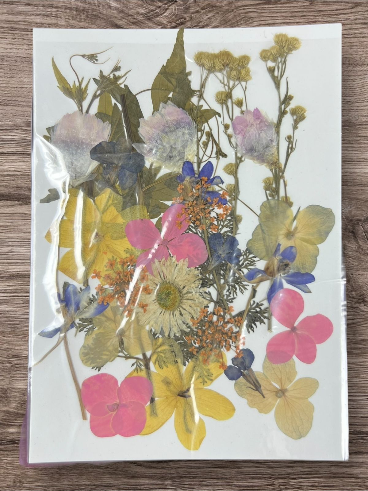 1 Packet | Press flowers resin art